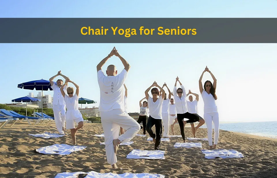 Top 5 Chair Yoga for Seniors